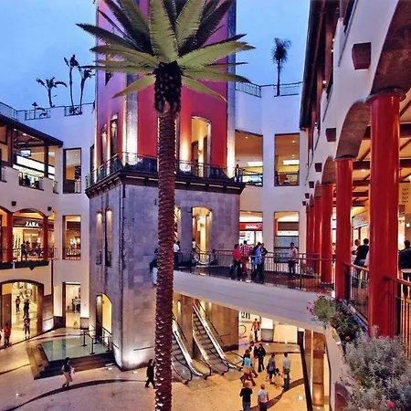 Little Paradise * Funchal (Madeira)